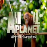 Animal planet_updated